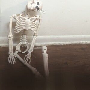 Skeleton